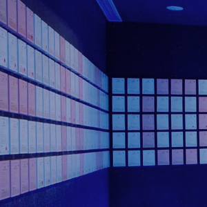 S36沙龙会 - 要玩就玩沙龙会